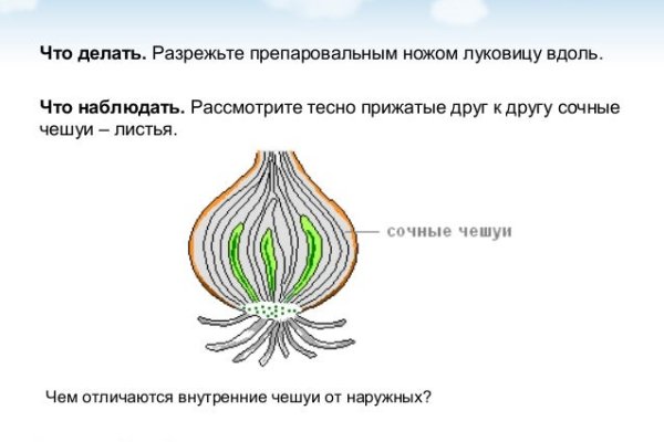 Блэкспрут онион ссылка