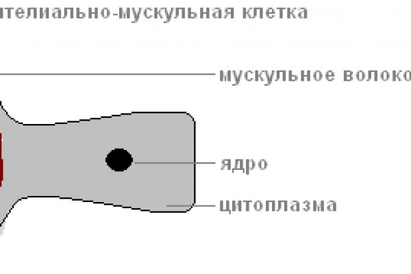 Как пройти капчу в блэк спрут