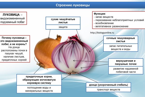 Не работает сайт блэкспрут blacksprut adress com